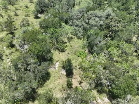 Lot 4 County Road 420 Waelder TX 78959