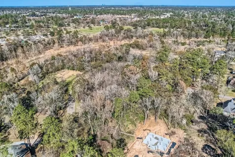 15618 Cypress Gardens Drive Houston TX 77069