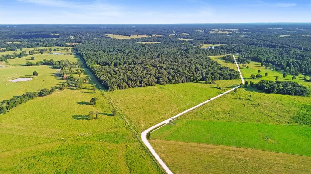1087 Buckhorn Creek Drive Crockett TX 75835