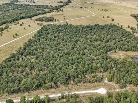 1087 Buckhorn Creek Drive Crockett TX 75835