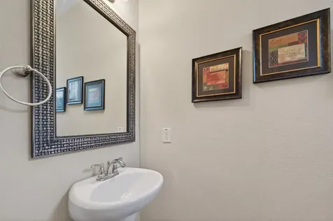 19 Roma Ridge Drive Missouri City TX 77459