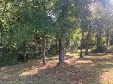 801 Camilla Lake Road Coldspring TX 77331