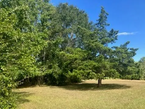 801 Camilla Lake Road Coldspring TX 77331
