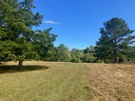 801 Camilla Lake Road Coldspring TX 77331