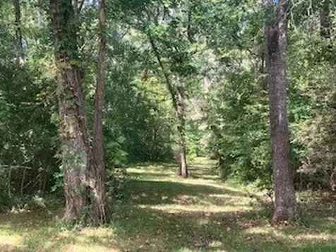 801 Camilla Lake Road Coldspring TX 77331