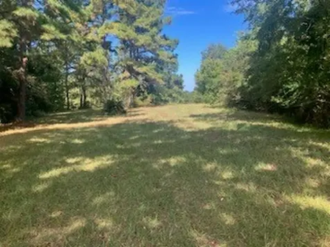 801 Camilla Lake Road Coldspring TX 77331