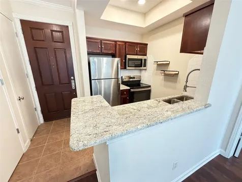 4515 Briar Hollow Place 315 Houston TX 77027