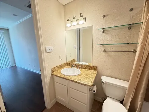 4515 Briar Hollow Place 315 Houston TX 77027