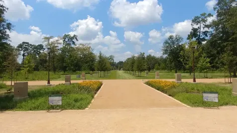 4515 Briar Hollow Place 315 Houston TX 77027