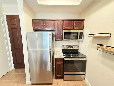 4515 Briar Hollow Place 315 Houston TX 77027
