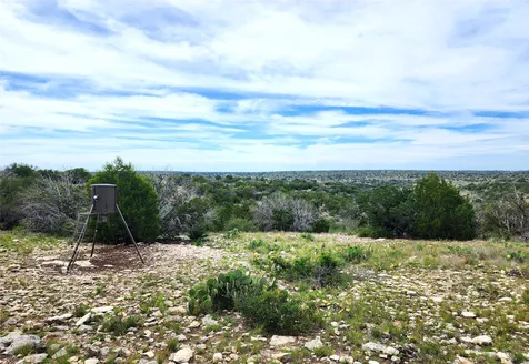 0 Peck Road Comstock TX 78837
