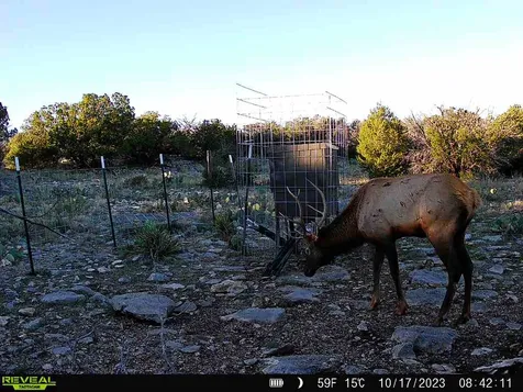 0 Peck Road Comstock TX 78837
