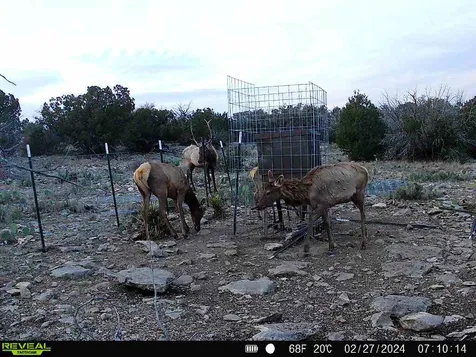 0 Peck Road Comstock TX 78837