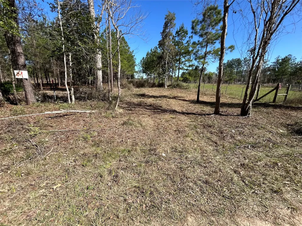 3738 County Road 2650 Cleveland TX 77327