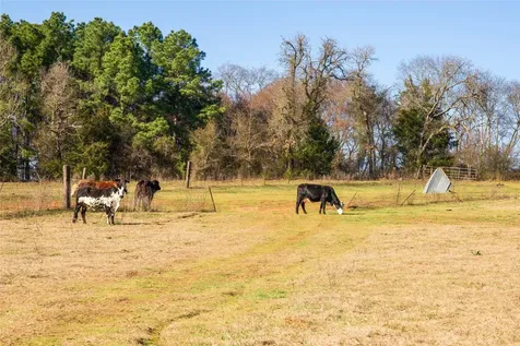 00 County Road 453 Henderson TX 75654