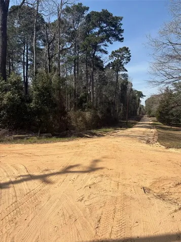 Tbdd Margie Drive Livingston TX 77351
