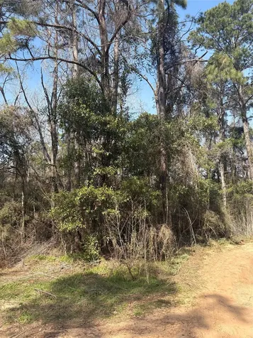 Tbdd Margie Drive Livingston TX 77351