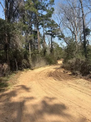 Tbdd Margie Drive Livingston TX 77351