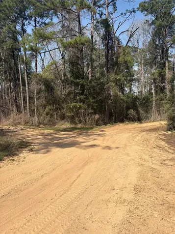 Tbdd Margie Drive Livingston TX 77351