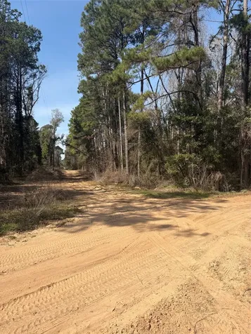 Tbdd Margie Drive Livingston TX 77351