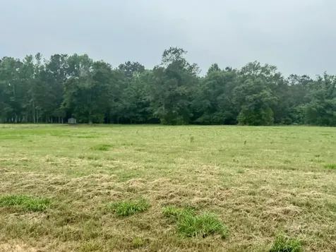 Lot 131 S Green Valley Trail Hillister TX 77624