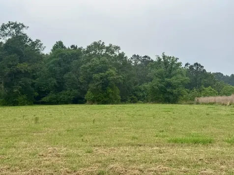 Lot 131 S Green Valley Trail Hillister TX 77624