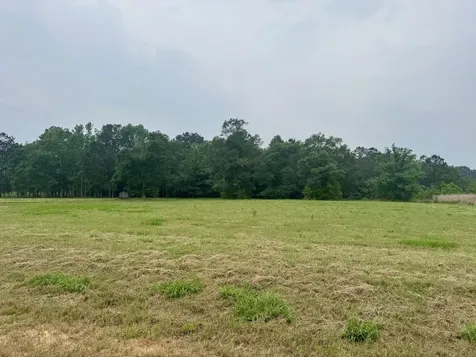 Lot 131 S Green Valley Trail Hillister TX 77624