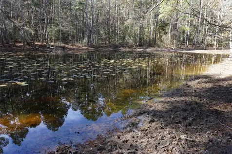 0 County Road 352 Palestine TX 75803