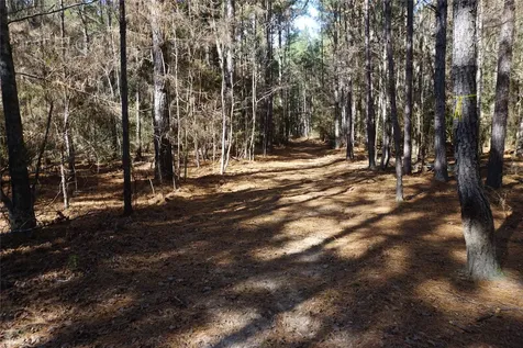 0 County Road 352 Palestine TX 75803