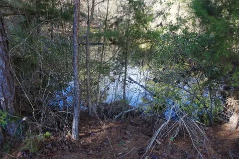 0 County Road 352 Palestine TX 75803