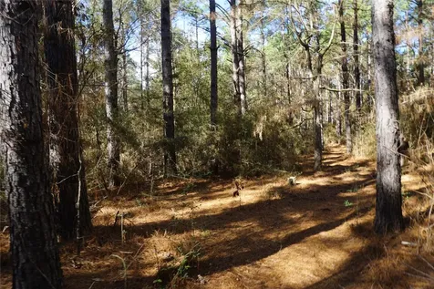 0 County Road 352 Palestine TX 75803