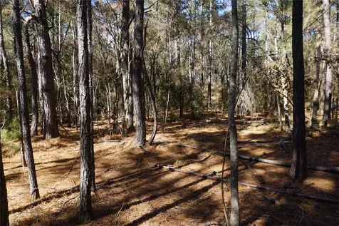 0 County Road 352 Palestine TX 75803