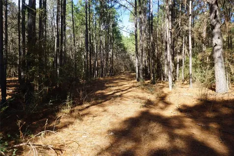 0 County Road 352 Palestine TX 75803