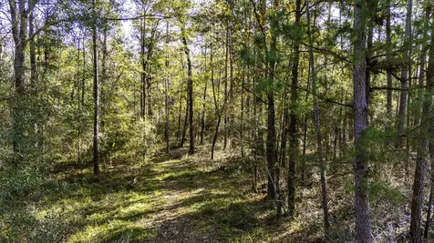 038 Sportsman Retreat Road Onalaska TX 77360