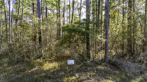 038 Sportsman Retreat Road Onalaska TX 77360
