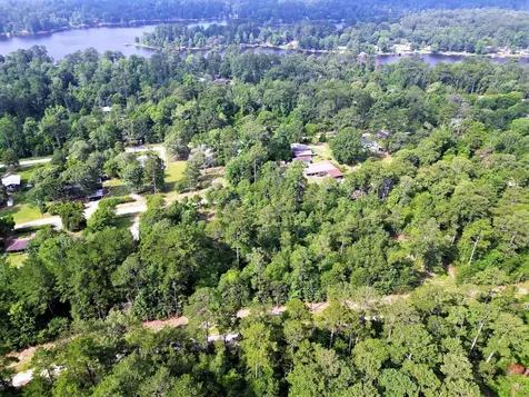 Lot 8 Sir Ewaine Drive Ivanhoe TX 75979