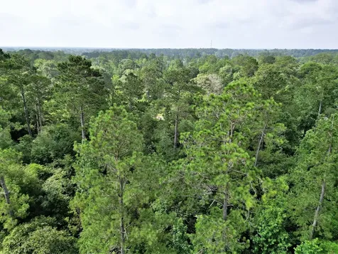 Lot 8 Sir Ewaine Drive Ivanhoe TX 75979