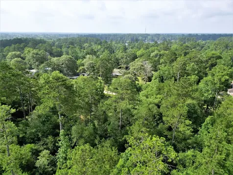 Lot 8 Sir Ewaine Drive Ivanhoe TX 75979