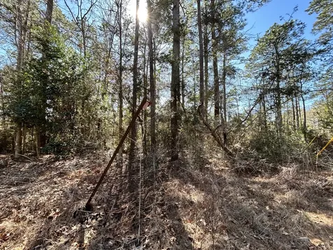 Lot 8 Sir Ewaine Drive Ivanhoe TX 75979