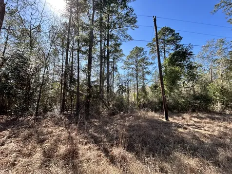 Lot 8 Sir Ewaine Drive Ivanhoe TX 75979