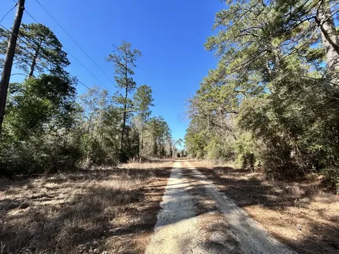 Lot 8 Sir Ewaine Drive Ivanhoe TX 75979