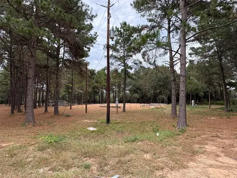 19602 Fisher Drive Tomball TX 77377