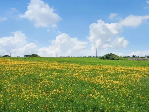 Lot 14 433 Rolling Hill Drive Cat Spring TX 78933