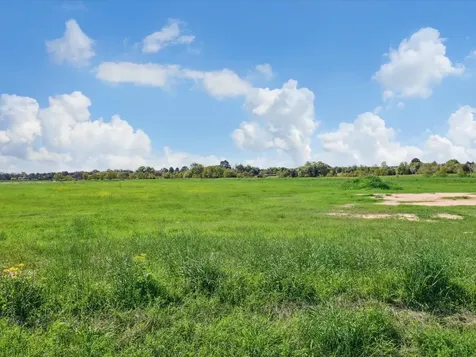 Lot 14 433 Rolling Hill Drive Cat Spring TX 78933