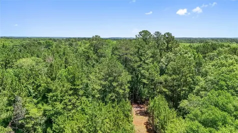 Tbd Hickman Road Burkeville TX 75932