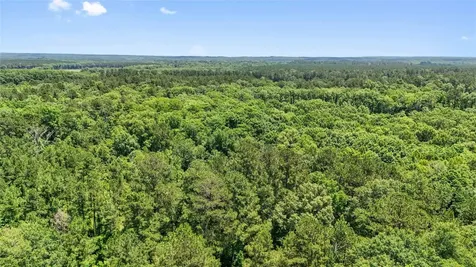 Tbd Hickman Road Burkeville TX 75932
