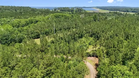 Tbd Hickman Road Burkeville TX 75932