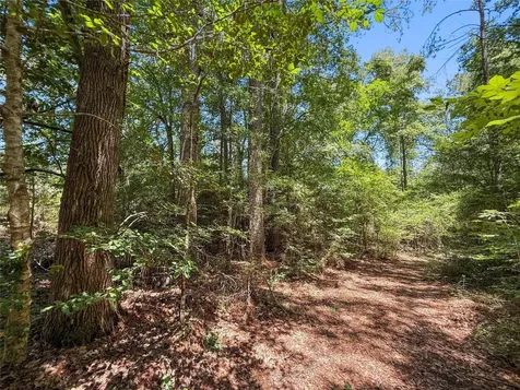 Tbd Hickman Road Burkeville TX 75932