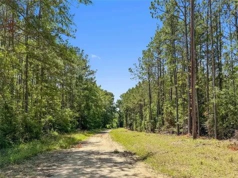Tbd Hickman Road Burkeville TX 75932