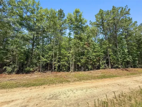 Tbd Hickman Road Burkeville TX 75932